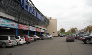 Спутник