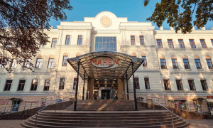Манеж