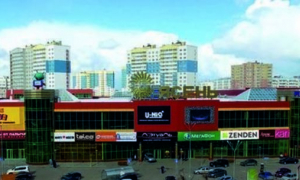 Ясень